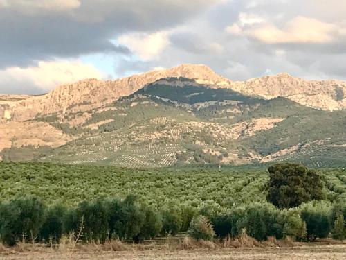 a mountain range with trees and mountains in the background at La Almedina: Palacio de Foronda in Cazorla