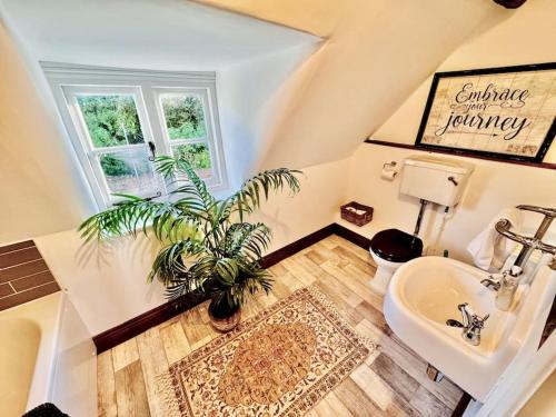 une salle de bain avec une plante en pot et un lavabo dans l'établissement Stylish Tudor Cottage & Hot Tub, à Coombe Hill
