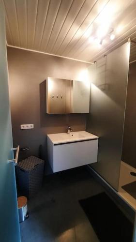 a small bathroom with a sink and a cabinet at L'étape Saint-Joseph in Brunehaut