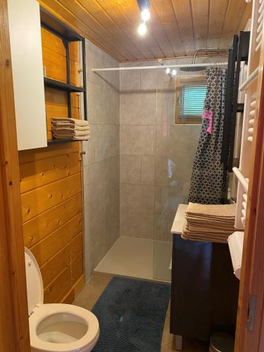 une salle de bain avec douche et toilettes dans l'établissement Chalet, à Parois