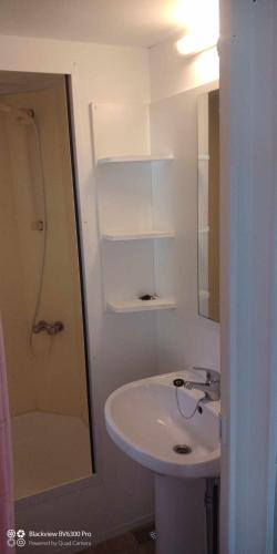 une salle de bain blanche avec un lavabo et une douche dans l'établissement Mobil home place 26, à Villegusien Le Lac