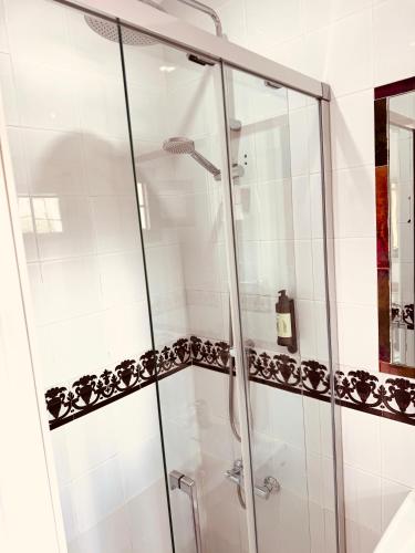 a shower with a glass door in a bathroom at Hotelito Suecia in Granada