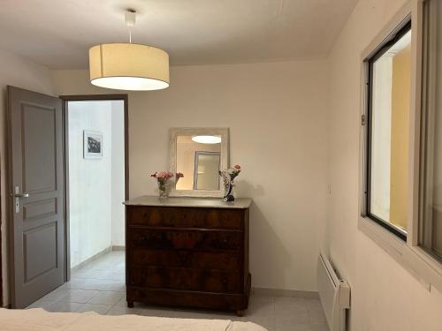 La salle de bains est pourvue d'un miroir et d'une commode ornée de fleurs. dans l'établissement Charmant appartement avec jardin et terrasse, à Venaco