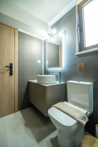 a bathroom with a white toilet and a sink at Renaissance Modern Stone House at Vryses - Private pool in Vryses