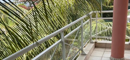 eine weiße Treppe mit einer Palme dahinter in der Unterkunft Effet Mer in Les Trois-Îlets