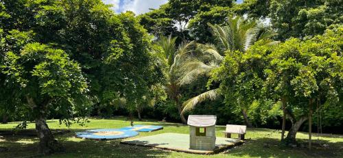 un parc avec une table, un banc et des arbres dans l'établissement Effet Mer, à Les Trois-Îlets