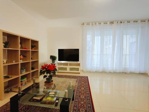 TV a/nebo společenská místnost v ubytování Appartement 2P à Ivry, aux portes de paris avec parking privé