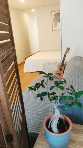 a plant in a pot on a table with a guitar at Casa Coral - Lodging & Culture in Braga