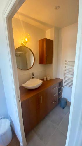 une salle de bain avec un lavabo et un miroir dans l'établissement Appartement centre de Vichy, à Vichy