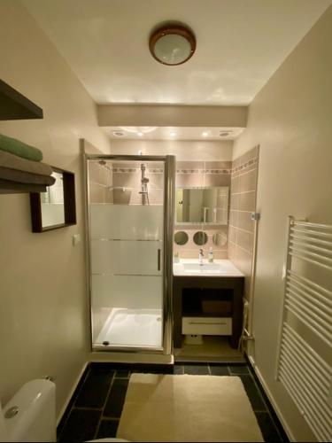 une salle de bain avec douche et lavabo dans l'établissement Appartement Au plaisir - Front de neige, Antarès, à Villarembert