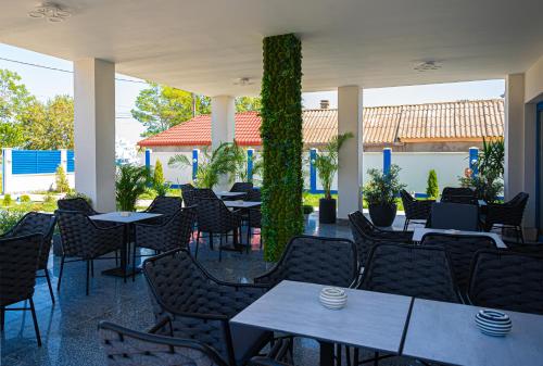スリナにあるPensiunea Paradisul Măriiのテーブルと椅子、植物が置かれた空のパティオ