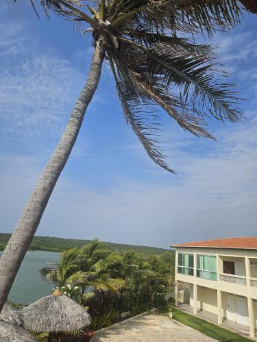 a palm tree in front of a building at Malie Hotel in Águas Belas