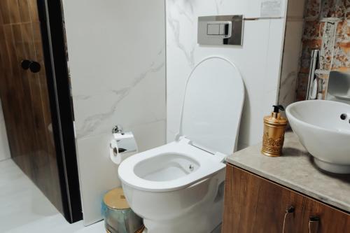 a bathroom with a toilet and a sink at konak esila in Usak