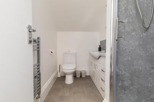 a bathroom with a toilet and a sink and a shower at Dove Court Travel Lodge 6 - Top Floor Double Bedroom in Bristol