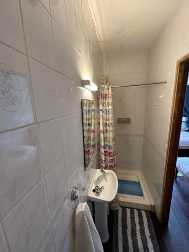 a bathroom with a sink and a shower at Budget room in Foxford