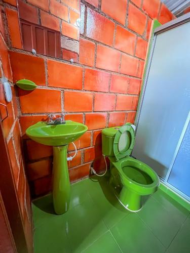 a green toilet and a green sink in a brick wall at Hotel Cabañas y Glamping Colinas De San Diego in San Agustín