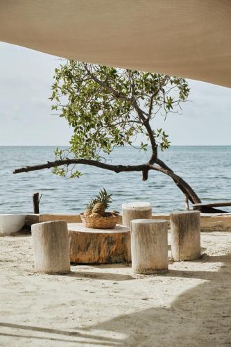 a picnic table on the beach next to the water at El Embrujo Tintipan in Tintipan Island