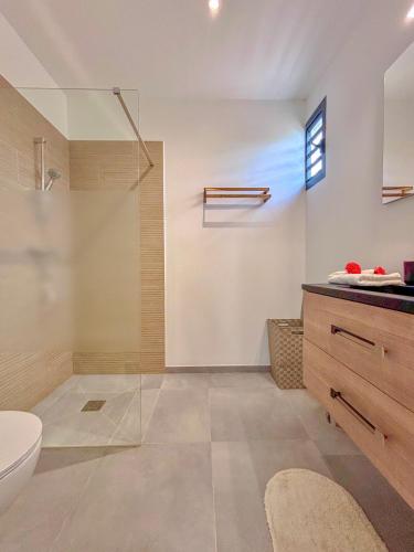 ein Badezimmer mit Dusche, Toilette und Waschbecken in der Unterkunft Villa Corail in Rivière-Salée