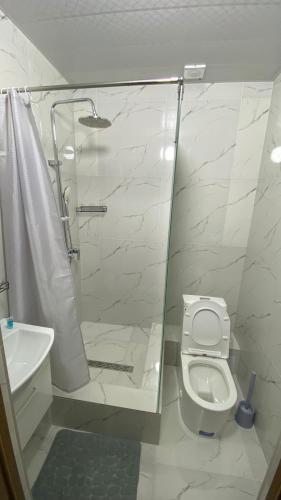 a bathroom with a shower and a toilet and a sink at Grand ARIA Hotel in Almaty
