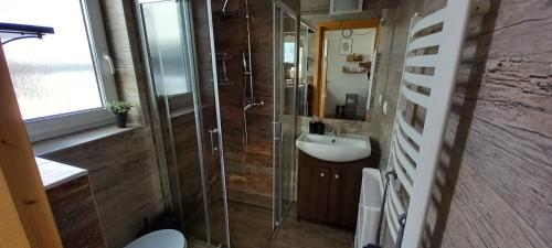 a bathroom with a shower and a toilet and a sink at Domki Obłazówka nad Białką in Nowa Biała