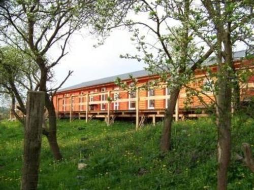 a train sitting in a field next to some trees at Ferienhaus Alleenwiesen in Gerswalde
