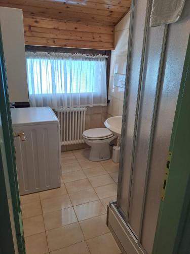 a bathroom with a toilet and a sink at Dolomiti House in Pinzolo
