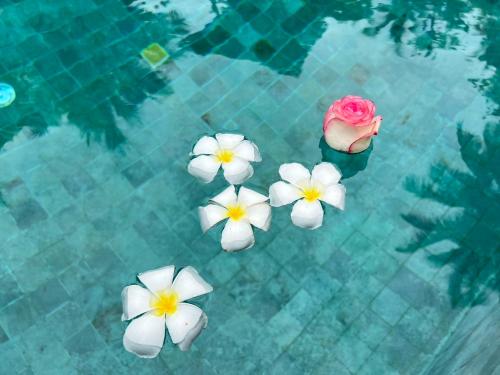 a group of white flowers in a swimming pool at Chill Lay Resort Donsak in Don Sak
