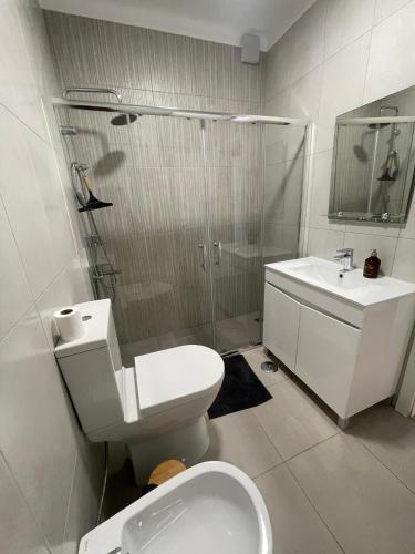 a bathroom with a toilet and a shower and a sink at Sommer Apartment in Entroncamento