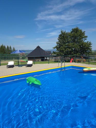 a swimming pool with a green object in the water at Ośrodek Wczasowy Groń Placówka in Groń