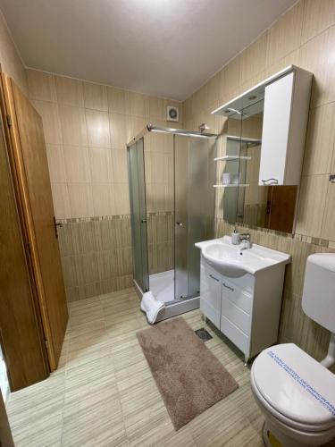 a bathroom with a shower and a toilet and a sink at Montis Vlasic Apartment 2 in Vlasic