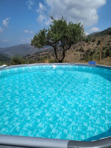 a large blue swimming pool with a tree in the background at L'Antica Quercia B&B in CastellʼUmberto