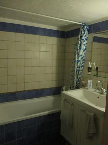 Salle de bains dans l'établissement Maison verte à la montagne