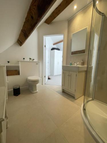 a bathroom with a toilet and a sink at Cosy flat in Ampney Crucis in Ampney Crucis