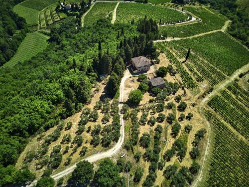 Le BolleにあるAgriturismo Penzoleの田地家の空見