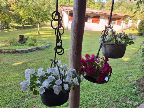 two flower pots hanging on a pole with flowers at Alla Capannina in Pieve Fosciana