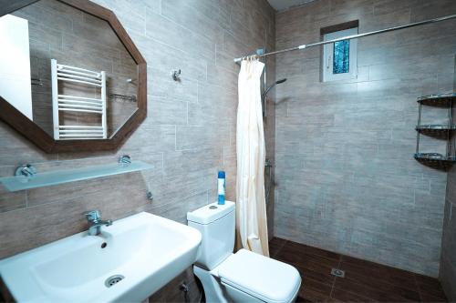 a bathroom with a toilet and a sink and a mirror at Kottage ji in Bakuriani