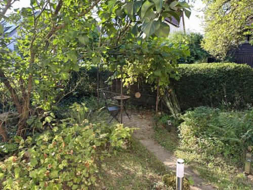 Κήπος έξω από το Villa Pauline