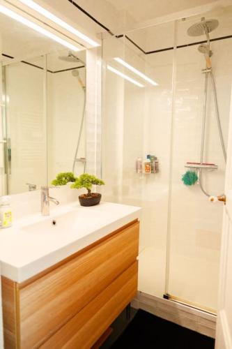 une salle de bain avec un lavabo et une douche dans l'établissement Studio Eiffel Tower Necker, à Paris