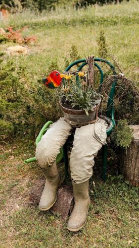 a bird sitting on a bench with a basket of plants at Cabana Trei Brazi Cacica in Cacica