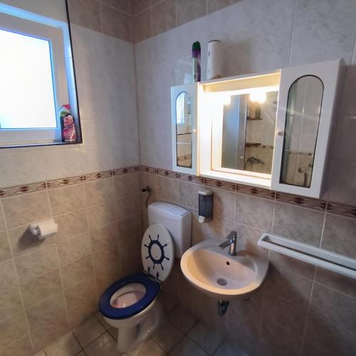 a bathroom with a toilet and a sink and a mirror at Vila PURA MAYA in Vir