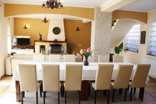 Kuchyň nebo kuchyňský kout v ubytování Pension Casa Ali & Andu