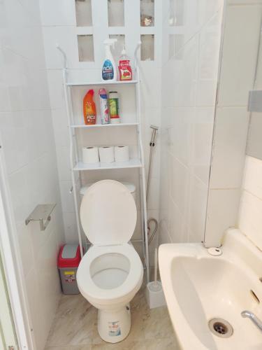 a small bathroom with a toilet and a sink at The Pearl Cage Gigiri-Near US Embassy in Nairobi