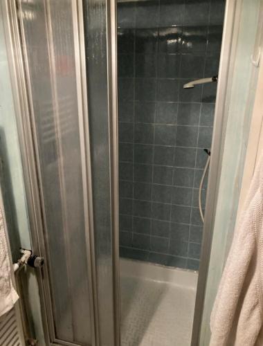 a shower with a glass door in a bathroom at Haus Schuster in Bad Salzschlirf