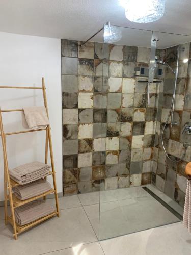 a bathroom with a shower with a glass door at s'Lena Häusle in Dormettingen