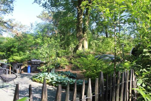 a wooden fence in front of a garden at Mooi 4p Wellness chalet in het Bos met finse Sauna en Hottub in Diever