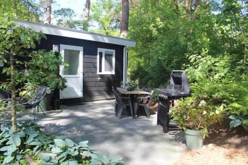 a small cabin with a table and chairs in front of it at Mooi 4p Wellness chalet in het Bos met finse Sauna en Hottub in Diever