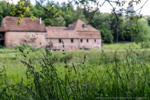 un ancien bâtiment au milieu d'un champ dans l'établissement Maison d'hôtes de charme - Ancien moulin en pleine nature - La Paulusmühle, à Soucht