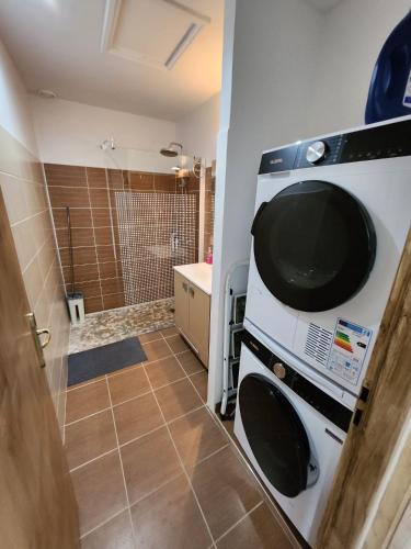 La petite salle de bains est pourvue d'une cuisinière et d'une douche. dans l'établissement Charmant maison à Béziers, à Fresnes-au-Mont