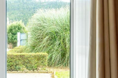 a window with a view of a large bush at Quinta da Bela Vista - Ericeira in Galiza