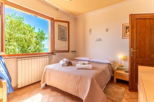 ヴォルテッラにあるPool, 5 Mins to Volterra Center, 4 Sleepsのベッドが2つと大きな窓がある寝室